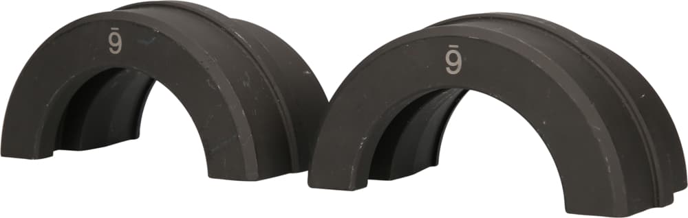 Paire de coquilles diam 84 mm