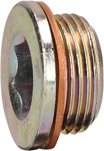 Bouchon de vidange M22 x 1,5 x 13 mm pour Iveco