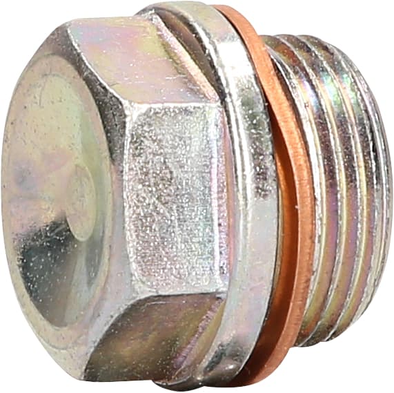 Bouchon de vidange M22 x 1,5 x 21 mm pour Iveco