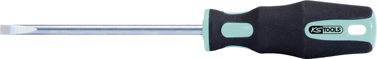 Tournevis INOX Fente, 6mm - L. 100 mm