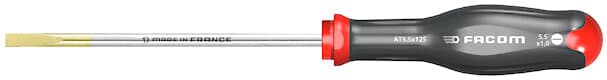 TOURNEVIS PROT2 FRAISE 5.5X125