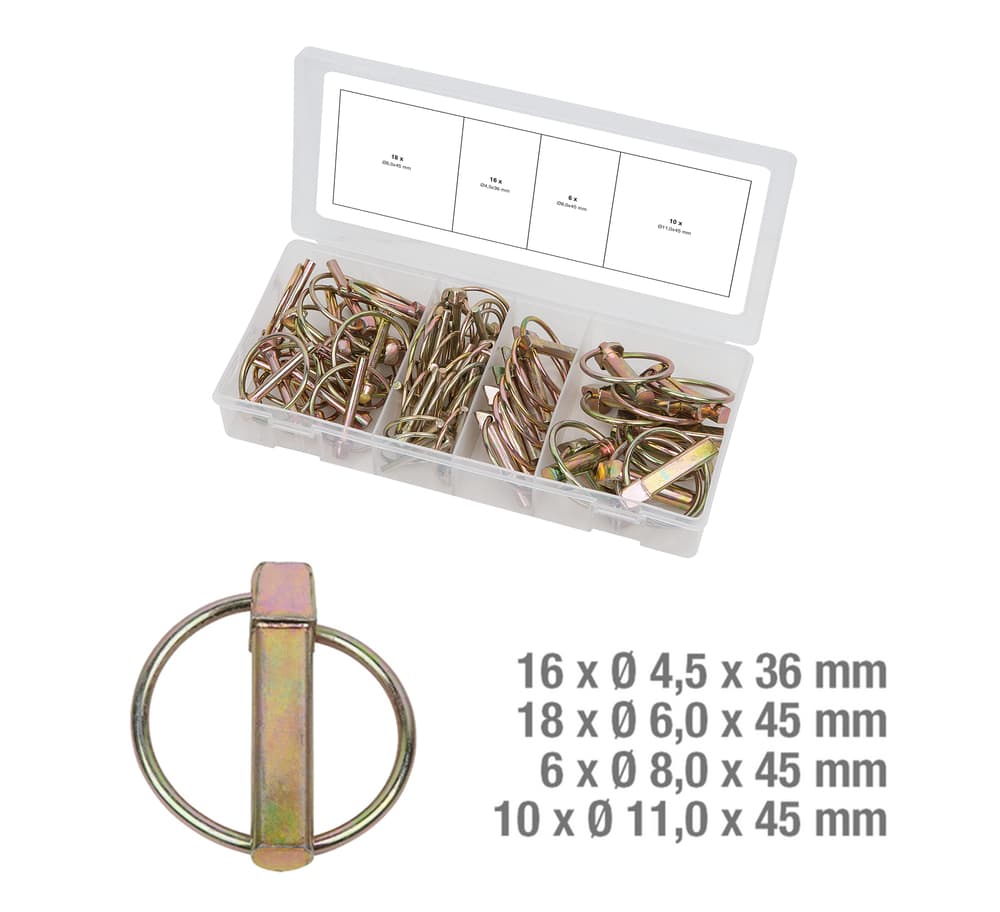 Assortiment de goupilles clips. 50 pcs