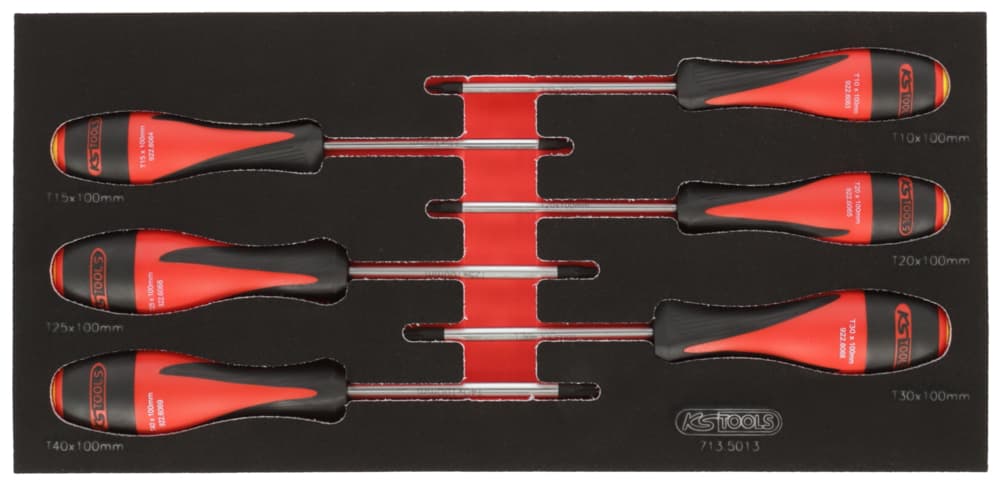 Module de tournevis ULTIMATE TORX®. 6 pièces