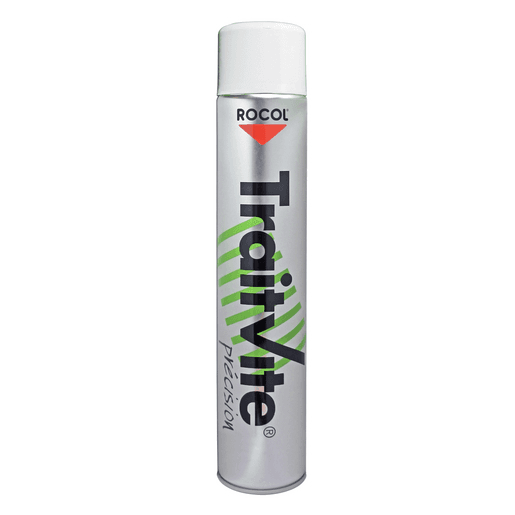 PEINTURE TRAITVITE BLANC r47020