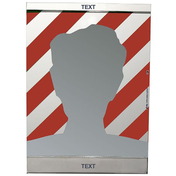 VISIOFLASH MIROIR l 300 x H 420 mm Français